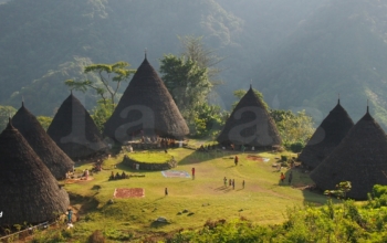 Wae Rebo Village Tour