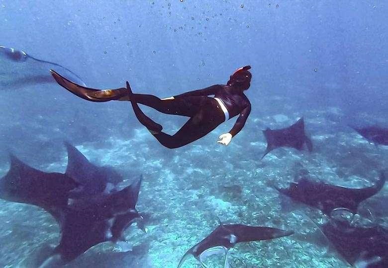 Manta ray snorkeling adventure in Komodo National Park