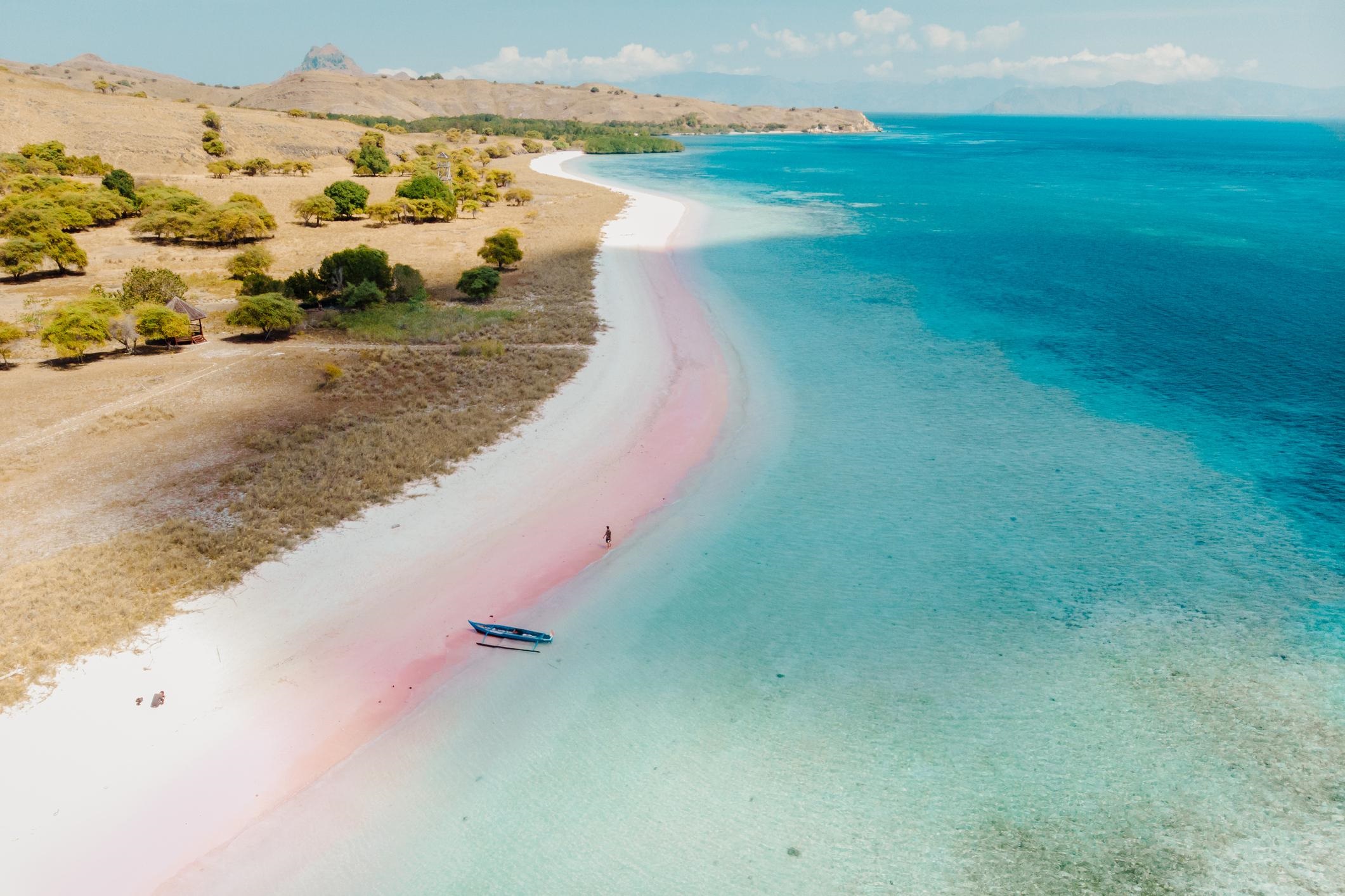 pink beach komodo